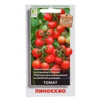 Купить Томат Пиноккио 12шт  Поиск 