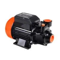 Купить Насос вихревой поверхностный PATRIOT QB-60