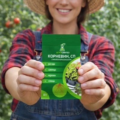 Купить Корневин 10гр Агросинтез