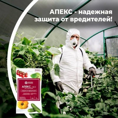 Купить Апекс защита растений 15мл 