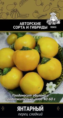 207786
