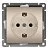 Купить Розетка UNIVersal Афина СУ 1 местная с/з шампань А0028