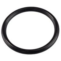 Купить Кольцо рез. под М/П фитинг D20 1шт