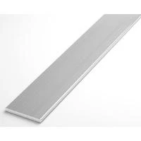 Купить Штанга плоская 30*2 04.2000.500