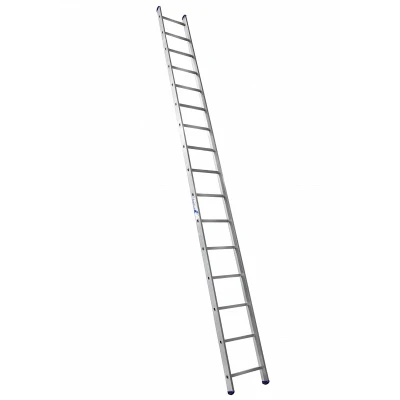 25255