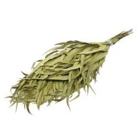 Купить Веник для бани и сауны эвкалиптовый (1/50) "Банные штучки" 3691