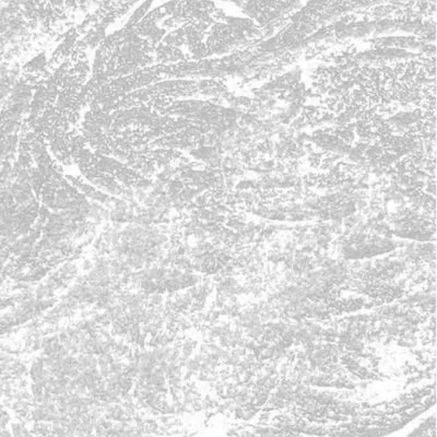 Купить Фартук кухонный Stella Лацио Бетон 3000х600х0,75мм