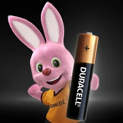 Купить Батарейка Duracell ААА LR03 1шт