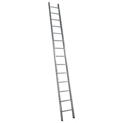 25253