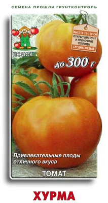 207885