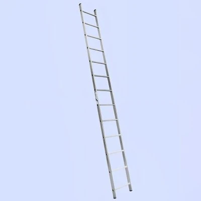 Купить Лестница приставная 14 ступеней (1) "Алюмет"