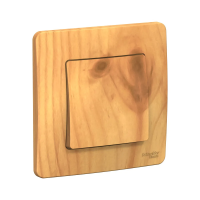 Купить Переключатель "BLANCA" 1 кл. 10а, ясень (1/10/20) "SCHNEIDER"