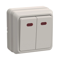 Купить Выключатель открыт. уст. "Октава" 2-х кл. с индикатором вс20-2-1-окм, 10а, кремовый (1/36/432) "IEK"