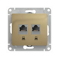 Купить Розетка компьютерная "GLOSSA" 2-х местн. RJ45+RJ45 (механизм) титан (1/10/160) "SCHNEIDER"