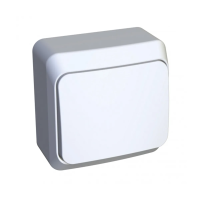 Купить Выключатель открыт. уст. "Этюд" 1 кл. с самовозвратом 10а, белый (1/25/200) "SCHNEIDER"