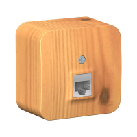 Купить Розетка компьютерная открыт. уст. "BLANCA" 1 местн. RJ45, ясень (1/12/24) "SCHNEIDER"