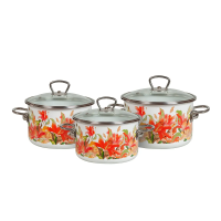 Купить Набор кастрюль эмалиров. №02 "LILIANNA" белосн. (2 + 3 + 4 л) "VITROSS"  1DB025S