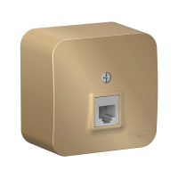 Купить Розетка телефонная открыт. уст. "BLANCA" RJ11, титан (1/12/24) "SCHNEIDER"