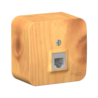 Купить Розетка телефонная открыт. уст. "BLANCA" RJ11, ясень (1/12/24) "SCHNEIDER"