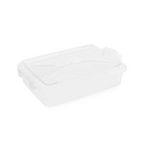 Купить Контейнер прямоуг. плоский 4,5 л с крышкой (1/10) "Альтернатива" м574