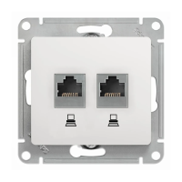 Купить Розетка компьютерная "GLOSSA" 2-х местн. RJ45+RJ45 (механизм) белый (1/10/160) "SCHNEIDER"