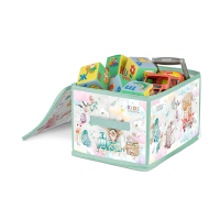 Купить Кофр для хранения "Путешастики" 40*30*25 см с застёжкой-молнией (1/24) "VALIANT" KTR-ZIP-L