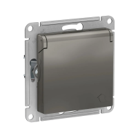 Купить Розетка "ATLASDESIGN" 1 местн. с заземл, с штор, с крыш (механизм) 16а, стальной(1/5/20) "SCHNEIDER"