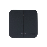 Купить Выключатель открыт. уст. "BLANCA" 2-х кл. с индикатором, антрацит (1/15/30) "SCHNEIDER"