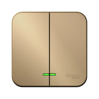 Купить Выключатель открыт. уст. "BLANCA" 2-х кл. с индикатором 10а, титан (1/15/30) "SCHNEIDER"