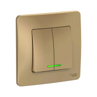 Купить Выключатель "BLANCA" 2-х кл. с индикатором 10а, титан (1/10/20) "SCHNEIDER"