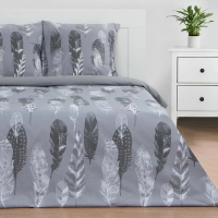 Купить Постельное белье "Этель" перья евро (поплин) (1) 5418219