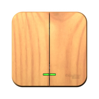 Купить Выключатель открыт. уст. "BLANCA" 2-х кл. с индикатором 10а, ясень (1/15/30) "SCHNEIDER"