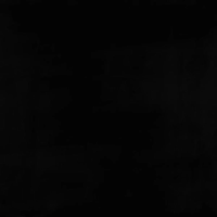 Купить Пленка самоклеящаяся 0,45 х 8 м (черная) (1/15/30) "Рыжий кот"