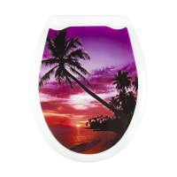 Купить Сиденье для унитаза с рисунком (закат) (1/10) "Мультипласт"
