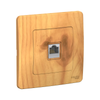 Купить Розетка компьютерная "BLANCA" 1 местн. RJ45, ясень (1/10/20) "SCHNEIDER"