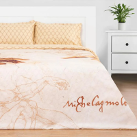 Купить Постельное белье "Этель" сотворение евро (поплин) (1) 5388932