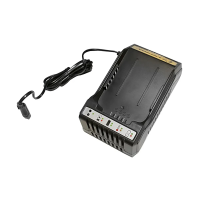 Купить Зарядное устройство для аккум. блока CH360, 36 в (1) "CHAMPION"