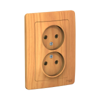 Купить Розетка "BLANCA" 2-х местн. 16а, ясень (1/6/12) "SCHNEIDER"