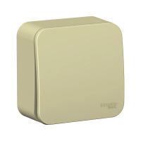 Купить Переключатель открыт. уст. "BLANCA" 1 кл. 10а, бежевый (1/15/30) "SCHNEIDER"