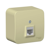 Купить Розетка компьютерная открыт. уст. "BLANCA" 1 местн. RJ45, бежевый (1/12/24) "SCHNEIDER"