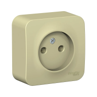 Купить Розетка открыт. уст. "BLANCA" 1 местн. 16а, бежевый (1/18/36) "SCHNEIDER"