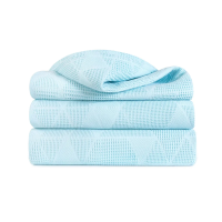 Купить Плед "VEROSSA" 220*190 см (голубой)