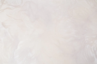 Купить PL72416-22 Обои винил на флизелине 1.06х10м Палитра