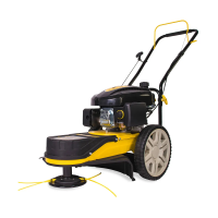 Купить Триммер колесный бензиновый LMH5629 (1) "CHAMPION"