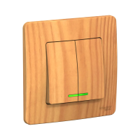 Купить Выключатель "BLANCA" 2-х кл. с индикатором 10а, ясень (1/10/20) "SCHNEIDER"