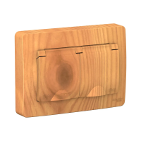 Купить Розетка "BLANCA" 2-х местн. с заземл, с шторками, с крышками 16а, ясень (1/5/10) "SCHNEIDER"