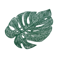 Купить Салфетка сервировочная 33*45 см ажурная "Лист", пвх (1/10/120) "Рыжий кот" PVR-08