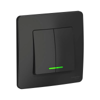 Купить Выключатель "BLANCA" 2-х кл. с индикатором 10а, антрацит (1/10/20) "SCHNEIDER"