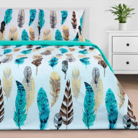 Купить Постельное белье "Этель" перья 2 сп. (поплин) (1) 2759793