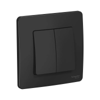 Купить Выключатель "BLANCA" 2-х кл. 10а, антрацит (1/10/20) "SCHNEIDER"